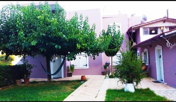 "Villa Kanavos" Apts มาตาลา ภายนอก รูปภาพ